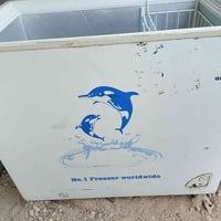 مجمدة • معرض ومزاد الرحاب • جبيل