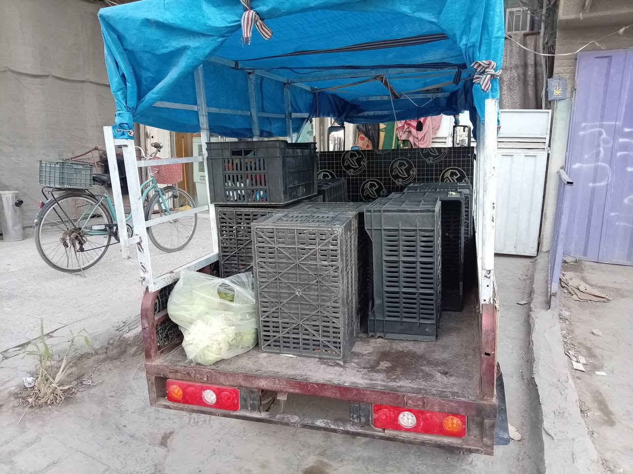 اسلام عليكم ورحمة الله ستوته ديوان كير محرك شاصي كفاله كهربائات كلها شغاله مبيها اي نقص أوراقها كامله كلها وعندي مكاتبه بسمي همينه سعر 900 الف مكاني الأمين ثانيه شارع الأرامل رقمي ***********
