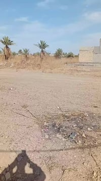 الرمادي البوذياب • ٢٧٦م • وجه١٢م/نزال٢٣م