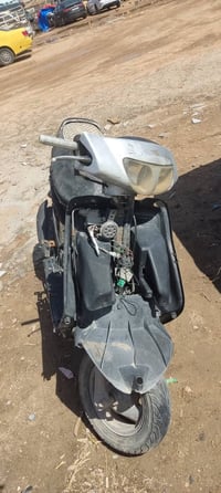 فراشه • فحل • شغاله