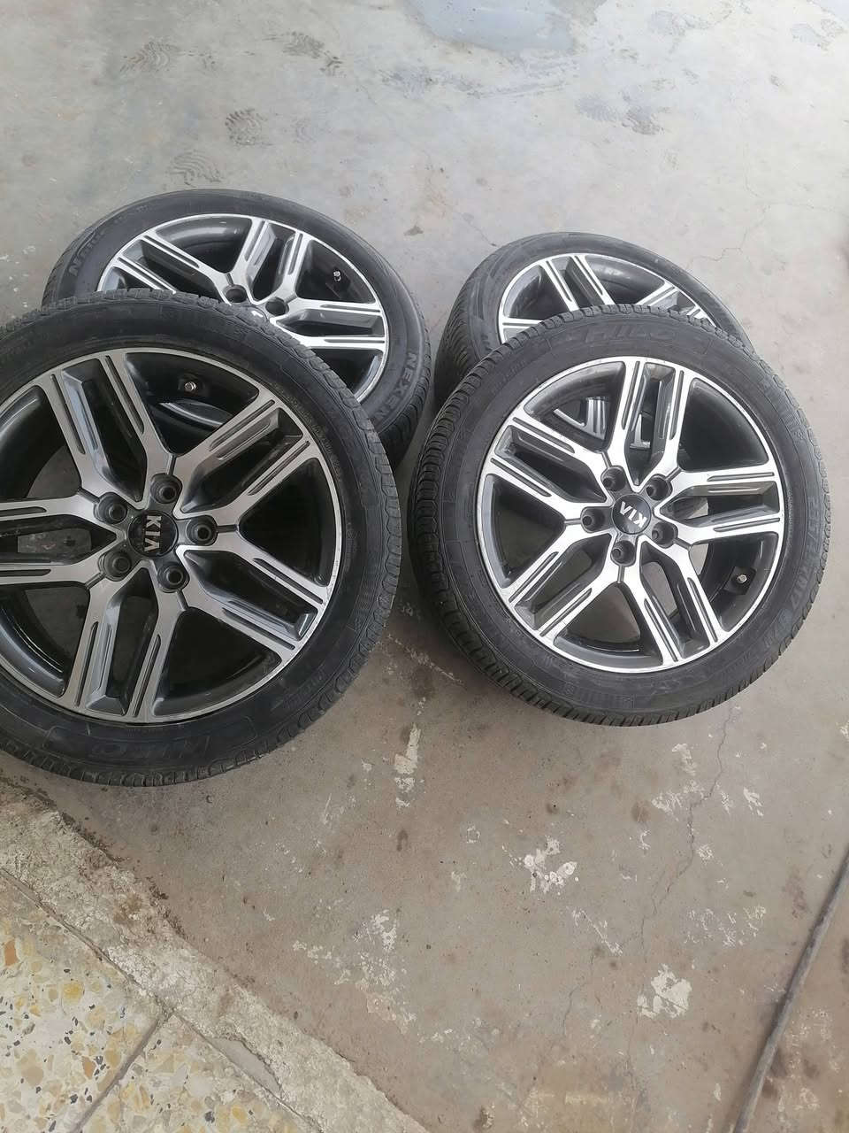 تخم ويل كب جيتي لاين فورتي اصلي شركة العنوان بغداد الشعلة ***********
***********
