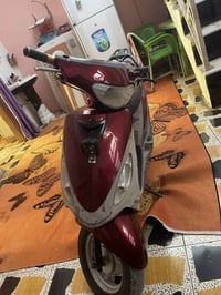 ماكس منغولي • ٤٩ سي سي • محاويل بابل