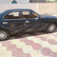 كراون بطه • ١٩٩٥ • الرمادي