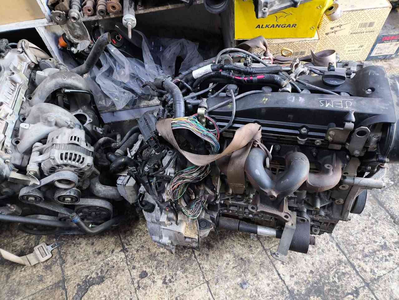 وصول كير ومحركات تيكو حجم ٢٠٠٠بعدهن لوك ممشتغلات حاويه وراد استرالي للاستفسار خدمات علي و عباس باب الشرجي مقابيل بانزين خانه البتاوين ***********
***********
