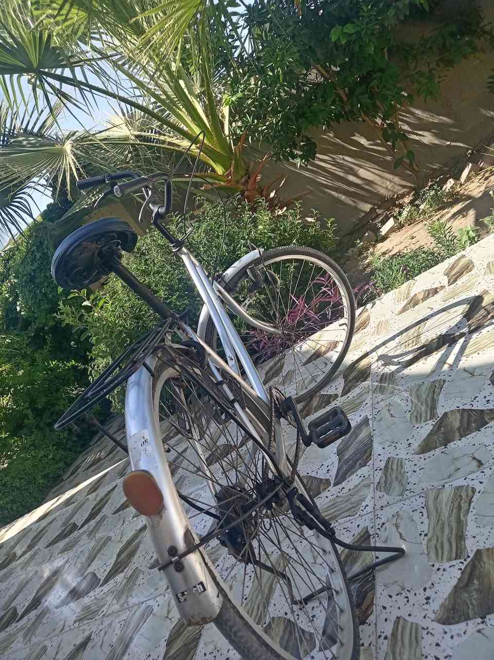 بايسكل للبيع سعر  90الف بي مجال عنوان موصل كوكجلي


**إذا كنت صاحب هذا الإعلان وتريد حذفه لأي سبب، رجاءا أرسل رسالة إلى الدعم الفني**