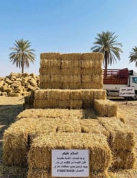 كبسات • مفاتيح • زرار • كبسات كهرباء • طول 90 سم • طول 1 متر • كمية مف...