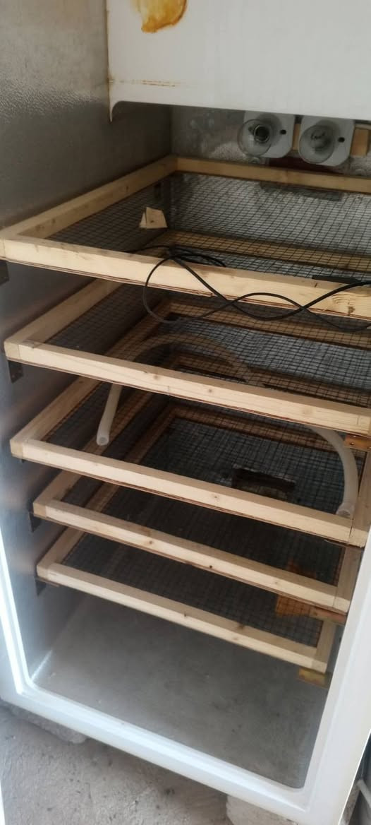 موجود مفقصه للبيع السعر 125 وبيها مجال فقاس مجمد تقليب يدوي تاخذ 650 بيضه الاستفسار على هذا الرقم او مراسله الصفحه***********
🐣🐥
