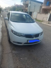 فورتي • ٢٠١١ • بدون صبغ