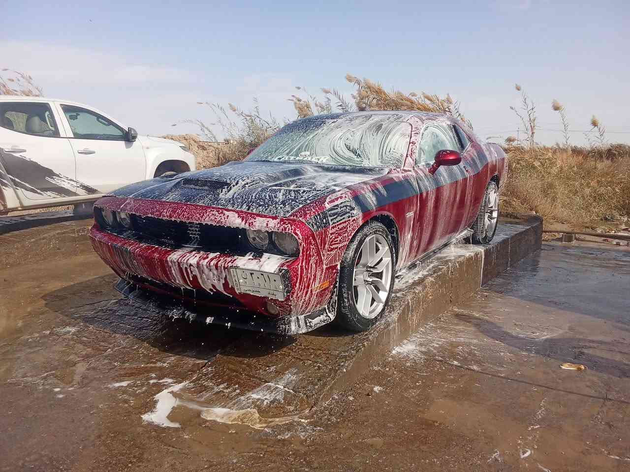 سلام عليكم لشراي فقط بدون مراوس لبيع علق واني اتخلك  جالنجر 2014مئوي اصدار مميز حادث سياره قطعه صبغ جاملغ لخفي جه سايق نصه صبغ مختمه بل كامل مئوي دواخل كشنات وشاشه وجاملغات ومكينه مخته مئوي فول لخير فتحه جلد تحكمات ستيرن كشنات هيتر وضعيات سبورت وقياده ودخول ذكي بصمات ثنين تبريد ثل حداديه امامي خلفي جديد شاده مشط ستيرن ستوني شاده تخم تاير تخم ويل دركه SRT يده كير حمره موبار وياله SRT تخم بطاين دوس سياره احلاه من صور تجي وتشوف شراي اله عيوني واسف  على اطاله  بس سياره ما شأ الله احسن من لعاديات بهواي كهربائياته كله تشتغل سعر 125وبيه مجال ولي ما تعجبه يعلق بكلمه حلوه وشراي انطي عيوني ولماعنده بلاش اله بسمي مشروع وطني وسونار راحاخلي بل منشور بأمريكا كلين  ولي ما تعجبه اكو هواي غيره  وتعبانات وهاي الله شاهد مال جناي


**إذا كنت صاحب هذا الإعلان وتريد حذفه لأي سبب، رجاءا أرسل رسالة إلى الدعم الفني**