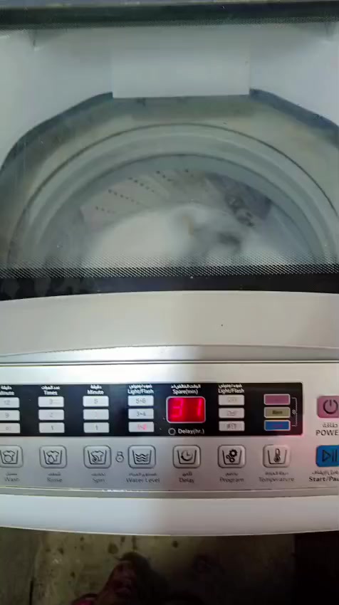 غساله وعربانه للبيع كلشي مابيهن على الفحص المكان الحريه


**إذا كنت صاحب هذا الإعلان وتريد حذفه لأي سبب، رجاءا أرسل رسالة إلى الدعم الفني**