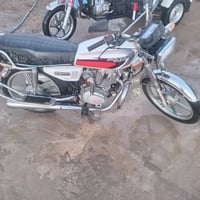 ستندر • ٢٠١٩ • شرط