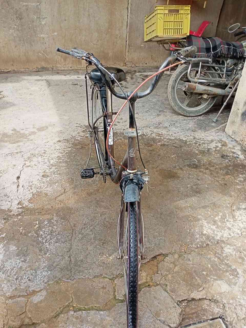 للبيع بايسكل ياباني سعر 65 وبي مجال كربلاء


**إذا كنت صاحب هذا الإعلان وتريد حذفه لأي سبب، رجاءا أرسل رسالة إلى الدعم الفني**