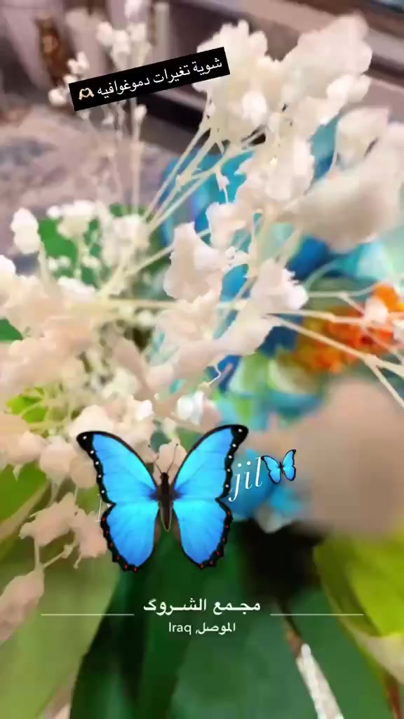 شقة للبيع في مجمع الشروق

🪧نوع العقار : شقه سكنية طابق 8

📍العنوان : مجمع الشروق 

📐 المساحة : 132م

📋التفاصيل: غرفتين +حمامات عدد2 

 صاله .استقبال .مطبخ كاونتر  كامل فصال تركي 

كاونتر كامل فصال تركي 

جدران الاستقبال مغفله بورق جدران تركي 

تغليف جدران الهول بديل الخشب +مرايه 

السقفوف ليدات اناره شمسي  

الحمامات وحده شرقي والثانيه غربي 

الشقة محدثه ديلوكس 

للاستفسار اكثر والتواصل 

الاتصال عل رقم 

‭0773 411 3016‬
