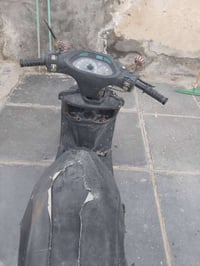 فراشة • فحل • راسلني خاص