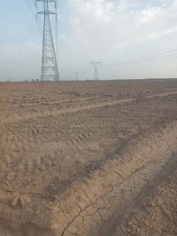 أرض زراعيه للبيع المساحه ١٤دونم   في ناحيه فدك المزاك     ذنايب  في قر...