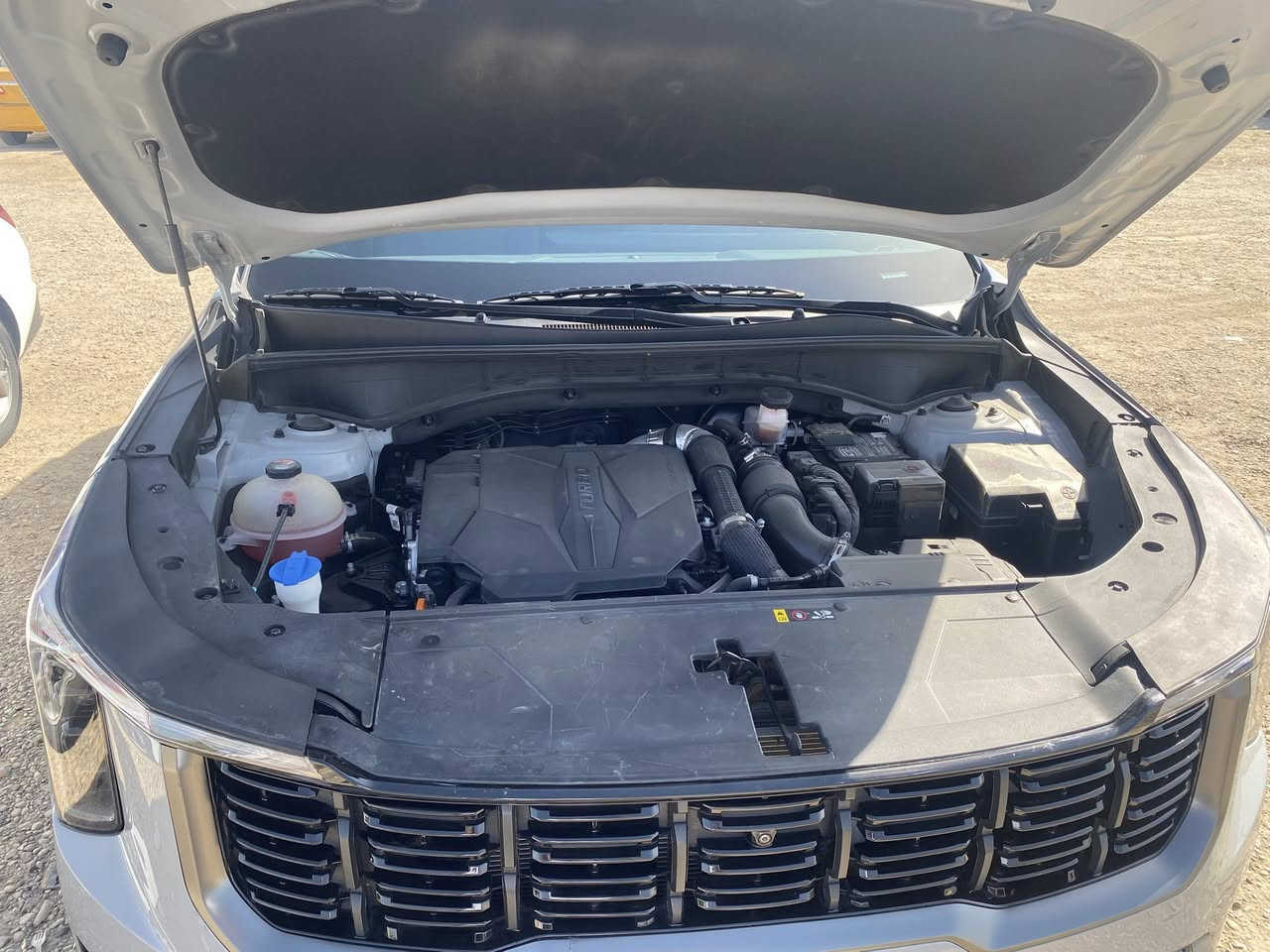 KIA SORENTO VIP SX PRSTEG x line
مكينه 2500 توربو
بلاك ادشن 
دفع رباعي او ثناتي 
بانوراما 
سياحي ٦ راكب 
٦ حساسات اماميه 
٦ حساسات خلفيه 
٥ رادارات اماميه 
قياده ذاتيه  
تحديد مسار
تخشيب طبيعي 
توقف ذاتي امامي خلفي 
كشنات جلد 
تدفئه تبريد كشنات امامي خلفي 
سقف كنتاره 
شاشه متصله 
٦ كامرات 
بالاضافه المرايه الوسطيه شاشه وكامره
٥ وضعيات قياده 
شاشة تبريد 
خزن ميموري كشنات 
تبريد خلفي 
اضائه امامي خلفي LED اضائه لمس 
مثبت سرعه 
تصحيح مسار 
شحن لاسلكي 
قلاب كشنات كهربائي 
رادارات جاانبي 
منبه استطدام
من تطي اشاره تبين الك الصفحه بالشاشه وتو هولد 
هندبريك بصمه 
A طفاء بالزدحام ومن دوس بانزين تشتغل وتمشي
مثبة سرعه بالنحدارات
P تطفي وتشغل حساسات
تدفئة ستيرن 
ترحيب عن القتراب 
مرري شفط تفتح ويه الترحيب 
ماشيه ١٦ الف 
بردات جانبيه 
حادثه تبديل بنيد فقط ومصبوغ وبارد بالجاملغ والباقي كله مكفول لغد شاصي وغيره
لغد و شاصي كفاله 
السياره كلش جديده ونظيفه بعده تراي
سعر 300$ ورقه 3 دفاتر وبيها مجال قليل 
رقم الهاتف ***********
السياره جديده ما يعجبك السعر او التفاصيل اعبر المنشور لا ادوخ راسك بلا تعليقات سلبيه
صور الحادث وي المنشور
