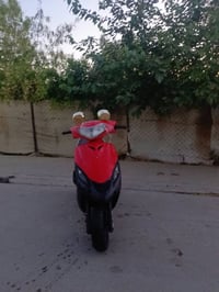 ماطور • ماكس ثعلب • بوشة ٤٩