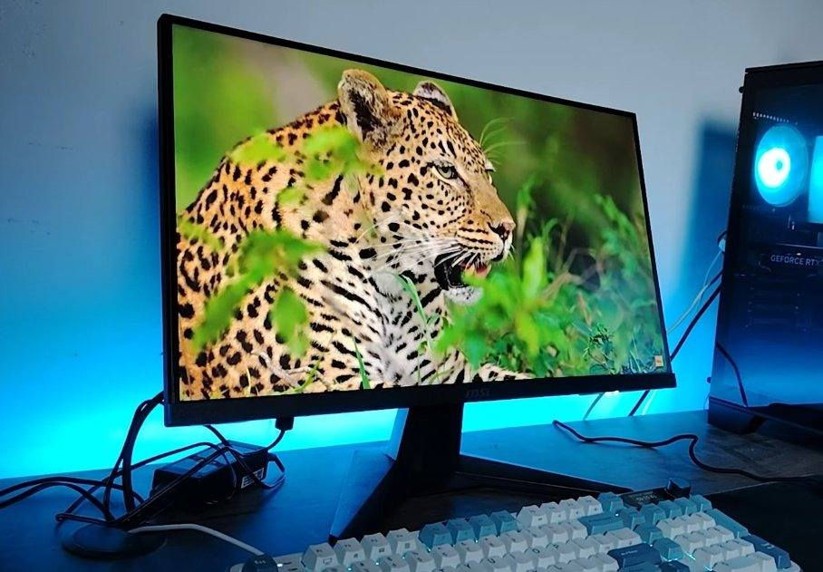 السلام عليكم - شاشة للبيع
MSI MAG 244F – 24" | 200Hz | Rapid IPS

شاشة ألعاب قوية ونظيفة، أداء عالي ومناسبة للـGaming التنافسي.

🔹 الدقة: FHD ‏1920×1080
🔹 الحجم: 24 إنچ
🔹 نوع اللوحة: Rapid IPS
🔹 معدل التحديث: 200Hz
🔹 زمن الاستجابة: 0.5ms
🔹 FreeSync Premium
🔹 HDR Ready + AI Vision
🔹 HDMI + DisplayPort
🔹 تقليل الضوء الأزرق
🔹 قابلية الإمالة

📌 الحالة: مستخدمة استعمال خفيف ونظيفة اخت الجديد - مع كامل الملحقات

💰 السعر: 170 ألف وبي مجال بسيط

مكاني بغداد،اعظمية - ماعندي توصيل
 
للتواصل خاص

وشكرا


**إذا كنت صاحب هذا الإعلان وتريد حذفه لأي سبب، رجاءا أرسل رسالة إلى الدعم الفني**