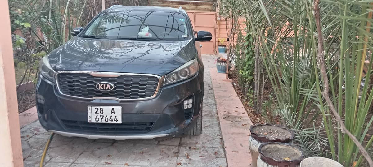 سورنتو موديل ١٦
٤ سلندر

رقم نجف انكليزي.

وبأسمي. مكفولة عدا البنيد

السيارة جاهزة ما محتاجه برغي تحويل ثاني يوم

السيارة جديدة جدا

السعر ١٦٤ وبيها مجال
***********
