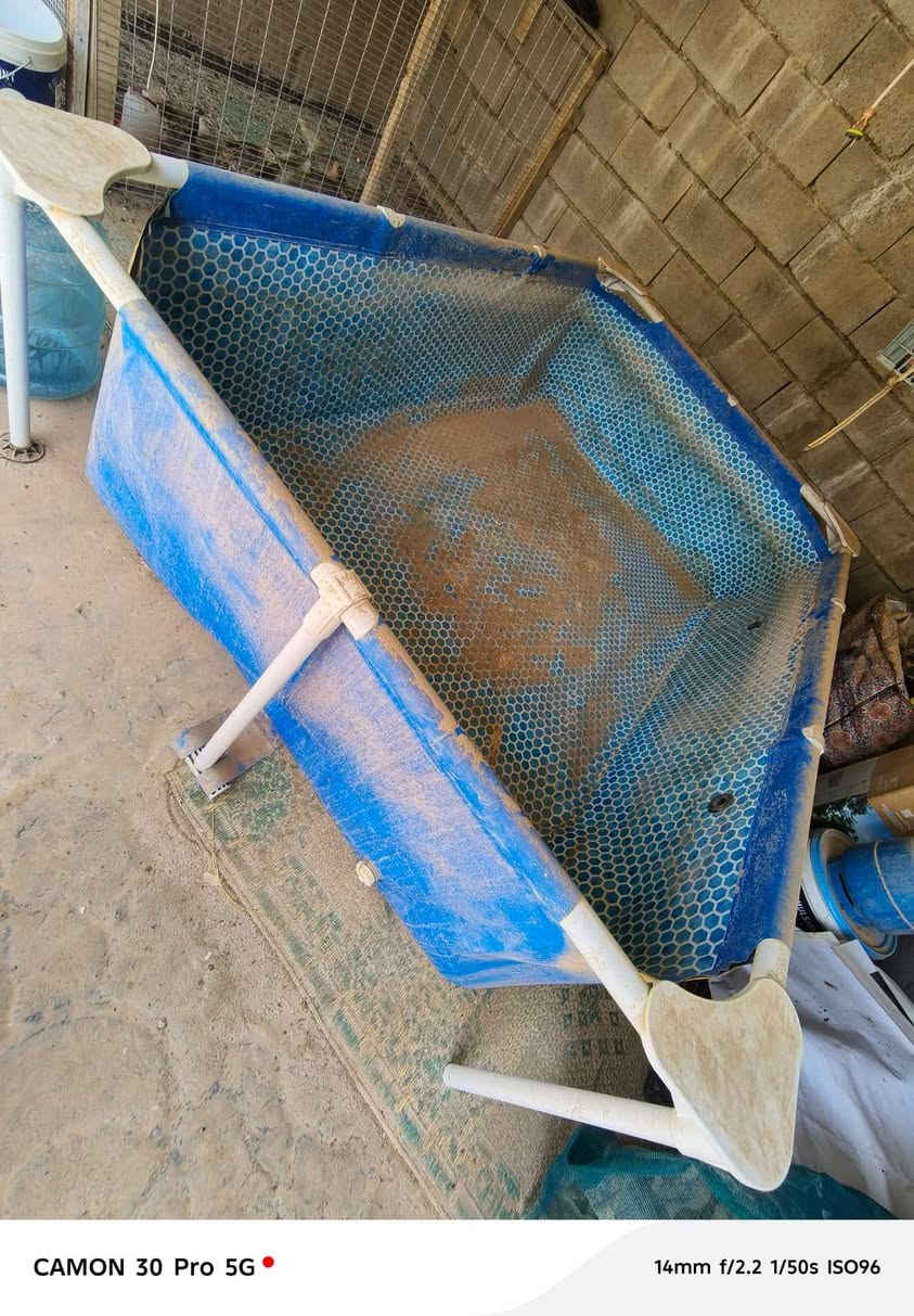 مكلف بالنشر حوض سباحه يرهم تكاثر اسماك قياساته 
طول مترين و20
عرض متر ونص
ارتفاع 70 سم 
صاحبه مشتري ب١١٠ ويريده حاليا ب٧٥


**إذا كنت صاحب هذا الإعلان وتريد حذفه لأي سبب، رجاءا أرسل رسالة إلى الدعم الفني**
