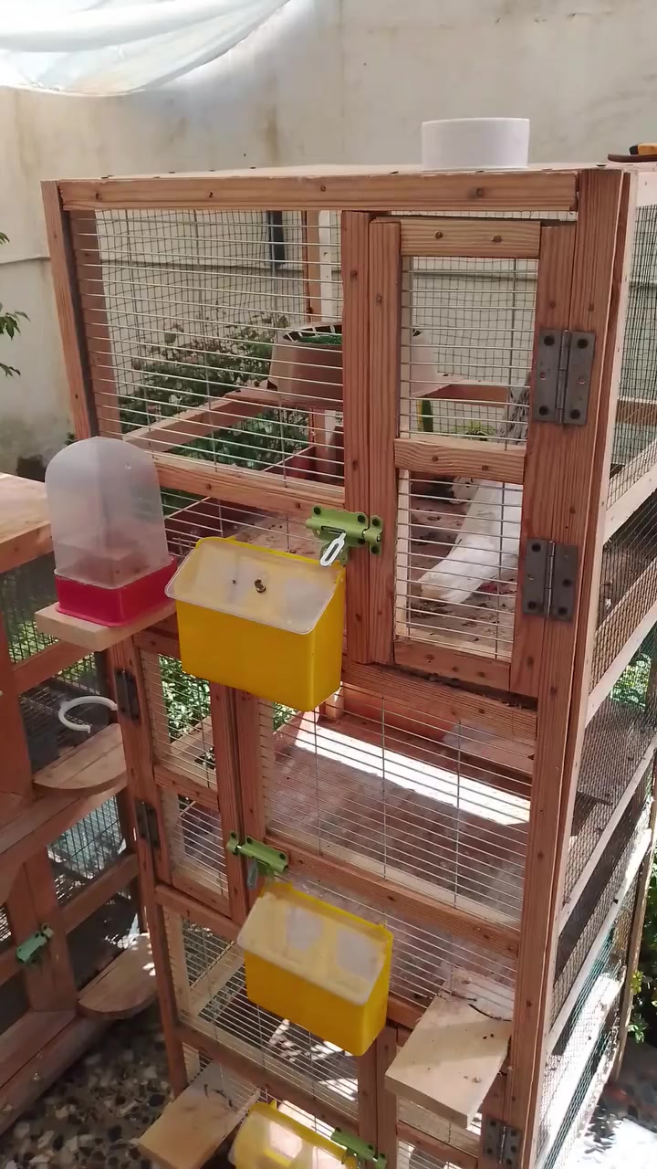 خانات شغل درجه اولى استخدام قليل مكاني بغداد الزعفرانية بشارع المعهد


**إذا كنت صاحب هذا الإعلان وتريد حذفه لأي سبب، رجاءا أرسل رسالة إلى الدعم الفني**