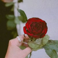 ملحق حي المعلمين • ٢٠٠م • ١٠٠م