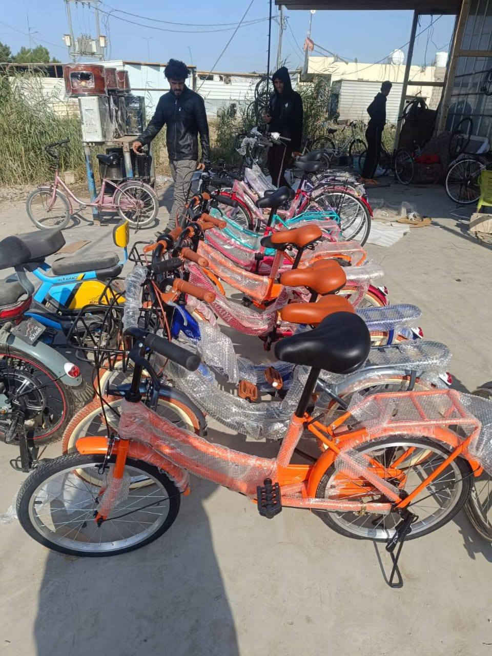 بابل سدة الهندية 
البيع جملة مفرد 
***********
