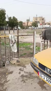 العبيدي شارع المحافظة • ١٠٠م • ١ غرفة