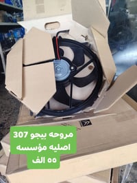 الشاهين • بيجو فرنسي • حي التأميم