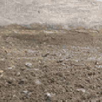 سماوه • حفر وقطع • تفليش بيوت