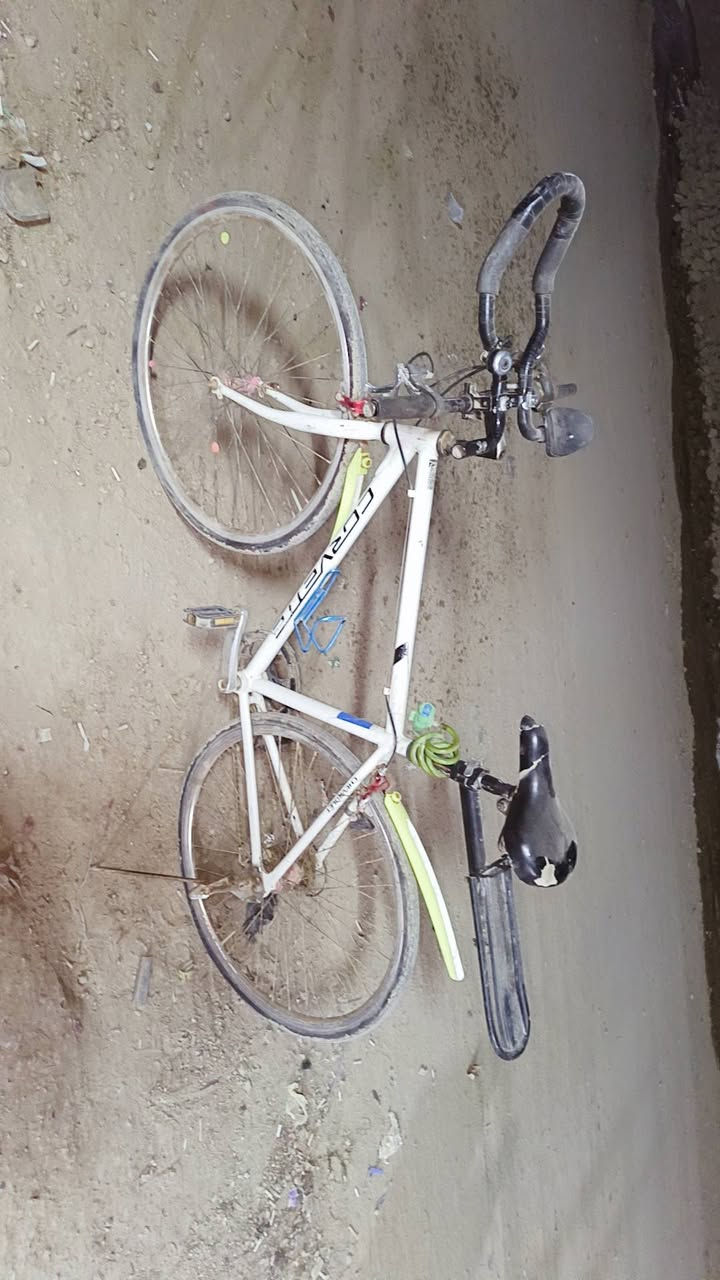 ااالسلام عليكم شباب دراجه س700 نضيفه وشغاله كيوره 7نمر وخفيفه  الوزن ومثل ماواضحه كدامك سعر80 مال بيع مستعجل


**إذا كنت صاحب هذا الإعلان وتريد حذفه لأي سبب، رجاءا أرسل رسالة إلى الدعم الفني**