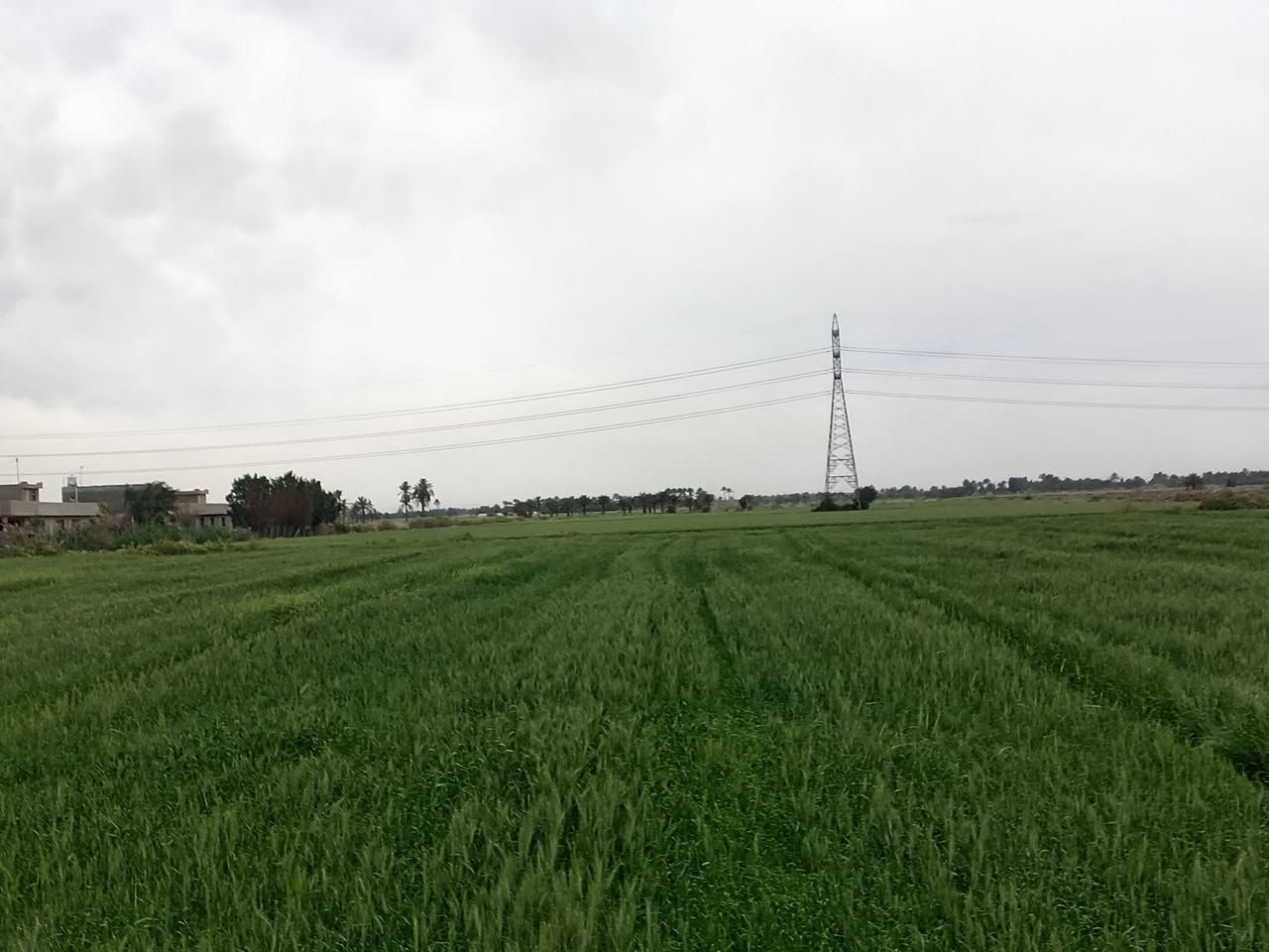 سلام عليكم كاع للبيع 29 دونم زراعي متوفر كافت الخدمات كهرباء مياه تبعد عن الشارع العام 100 متر للاستفسار الاتصال على هاذه الرقم ***********
