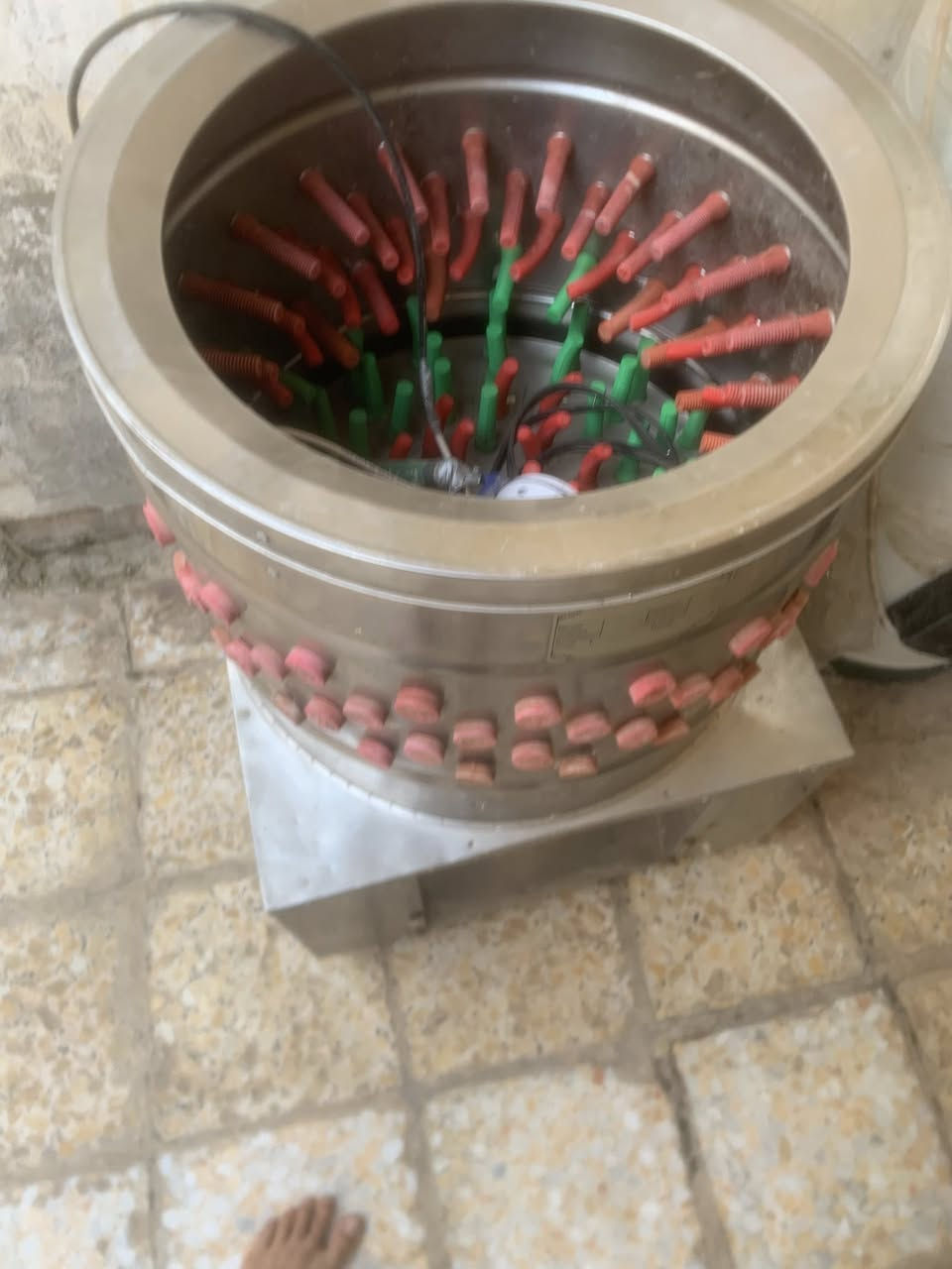 سلام عليكم غراض محل دجاج لبيع.   هلاسه جبيره جديده ستعمل قليل. قفص جديد. سنكي. وقفص دجاج بلستك واحد. كلهن  سوه بيع.  رجان لاحد يكسر بسعرهن. ريدهن كلهن 300 غراض بيهن مجال شي بيسط لشراي


**إذا كنت صاحب هذا الإعلان وتريد حذفه لأي سبب، رجاءا أرسل رسالة إلى الدعم الفني**