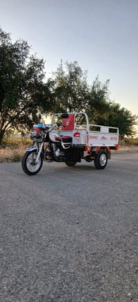 ستوته • ٢٠٢١ • ركبه شرط
