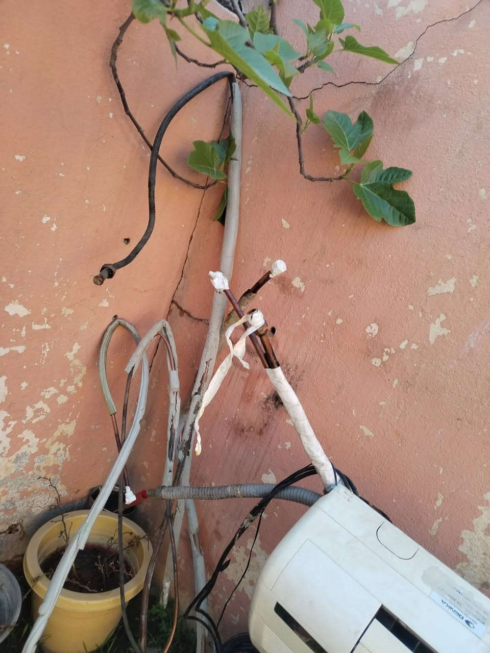 سبلت دنكه طنين ونص للبيع بدون غاز السعر 225وبي مجال


**إذا كنت صاحب هذا الإعلان وتريد حذفه لأي سبب، رجاءا أرسل رسالة إلى الدعم الفني**