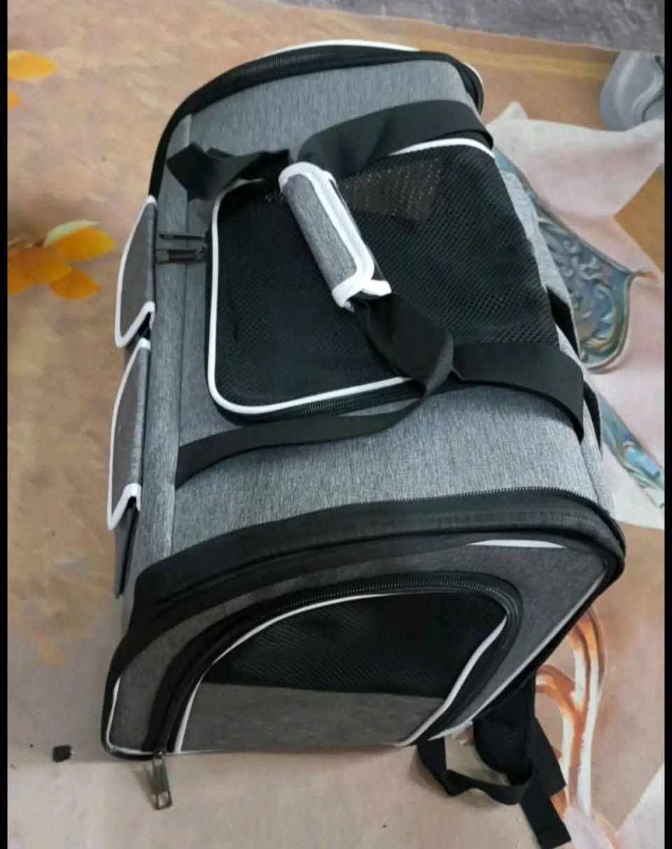 بيت قطط للبيع حلة, بابل


**إذا كنت صاحب هذا الإعلان وتريد حذفه لأي سبب، رجاءا أرسل رسالة إلى الدعم الفني**