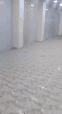 قاعتين للايجار مساحه الواحده 100 م 5*20
منطقه 55 بجانب اقصو مول سعر الايجار 350 للقاعه الواحده تصلح صالون نسائي أو عياده طبيب أو صيدليه أو مواد انشائيه أو مخزن للاستفسار ع الرقم ***********
