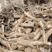 خشب للبيع اخضر ويابس تقريبن الخضر كنترتين وليابس كنتر 07739687327