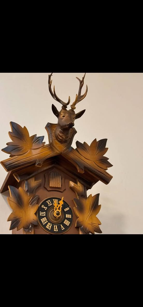 مرحبا ساعة كوكو الالمانية الشهيرة..
دق كل راس ساعة ونص نص، نظيفة جدًا صراحة وتشتغل بشكل ميكانيكي مدى الحياة من دون باتريات وكلش حلوة بس انا منجبرة ابيعها.. 

سعرها ١٥٠ مشتريتها اغلى صراحة بس مستعجلة.


**إذا كنت صاحب هذا الإعلان وتريد حذفه لأي سبب، رجاءا أرسل رسالة إلى الدعم الفني**