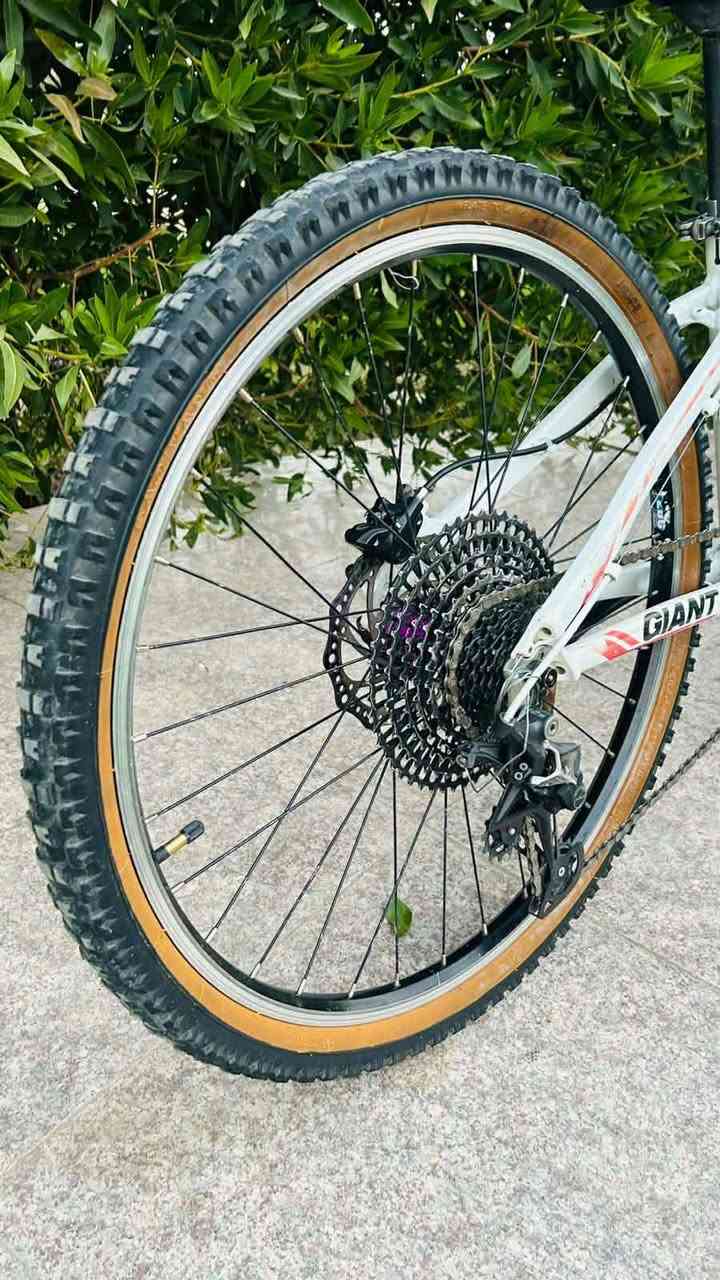 السلام بايسكل جاينت للبيع 
المواصفات

فريم ناصي المنيوم 

صينيه خلفيه 12نمره ماركة Shimano

عگرب 12 نمره ماركة Shimano 

صينيه اماميه Meroca موديل dx 

بريك خلفي دهن ماركةShimano 

بطيخه خلفية ماركهPro Hisense صوت  

تايرات جبليه اصليه

فريم حديث المنيوم موديل xxs 

حجم 27.5

ويالة جاينت اصليه

ستيرن عدل اصلي

ركبة لون برتقالي ماركة luta

بوري سرج حديث ax 

دبل امامي غاز 

للاستفسار الاتصال على الرقم او خاص 

***********
