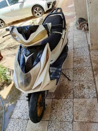 سكنس • شغالة • مراوس