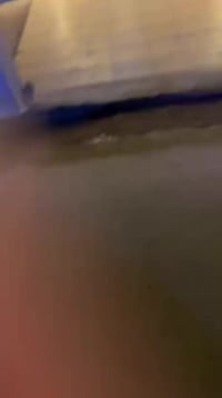 ٢٣٠م • ٦ غرف • القادسيه