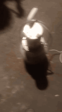 السلام عليكم مخظات الكويتيات ثنين شراي يتصل ***********
