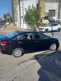 بيكاس • ٢٠٢١ • بدون صبغ