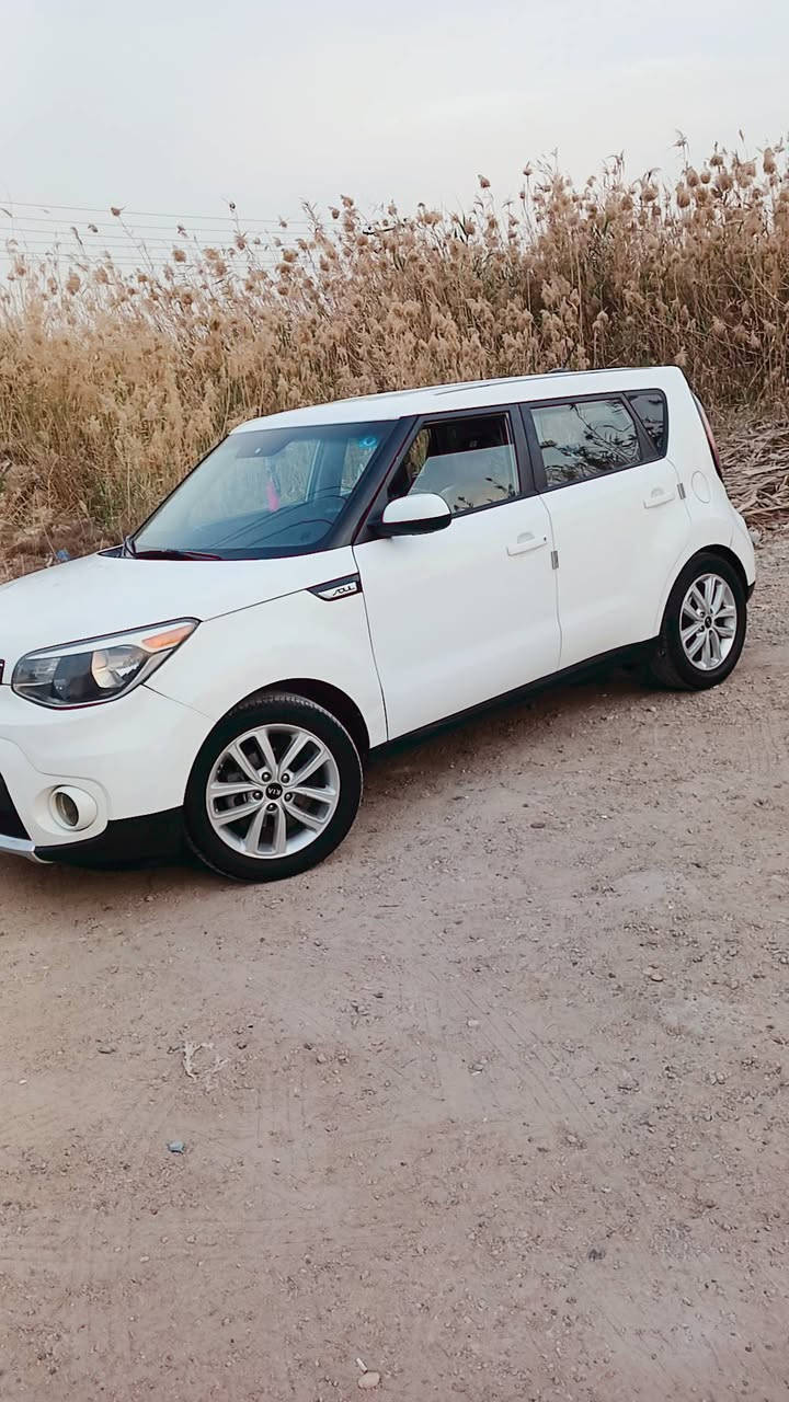 كيا صول وارد امريكي 2018  رقم بغداد  مكينا 1800كير اوتو ماتيك  حادث 3 قطع  سونار بيها رايده 110  رقمي ***********
