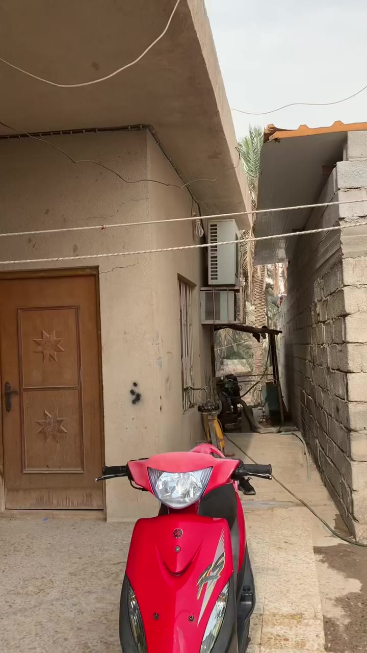 شباب دراجه حلوه ونضيفه بعدهه ما ساحكه صارلي شهر من نزلت من الحاويه دراجه رمبه
كهربائيات كلهه شغاله لايت عالي وناصي سكن لايت وره اشاير

إذا تريد معلومات عنهه تعال  ***********‬ هاذ رقمي فغط واتساب مكاني بصره ابو الخصيب +سعر خاص
