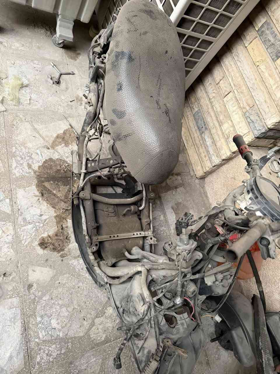 السلام عليكم شاصي ماكس ثعلب للبيع كامل هوه والضفيره نضافه ١٠٠٪؜ الشراي يدخل خاص وبخدمته مكاني بغداد العطيفيه الاستفسار خاص لو واتساب ***********
