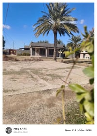 مزرعة • ٤دونم • المسيب الطاهريه