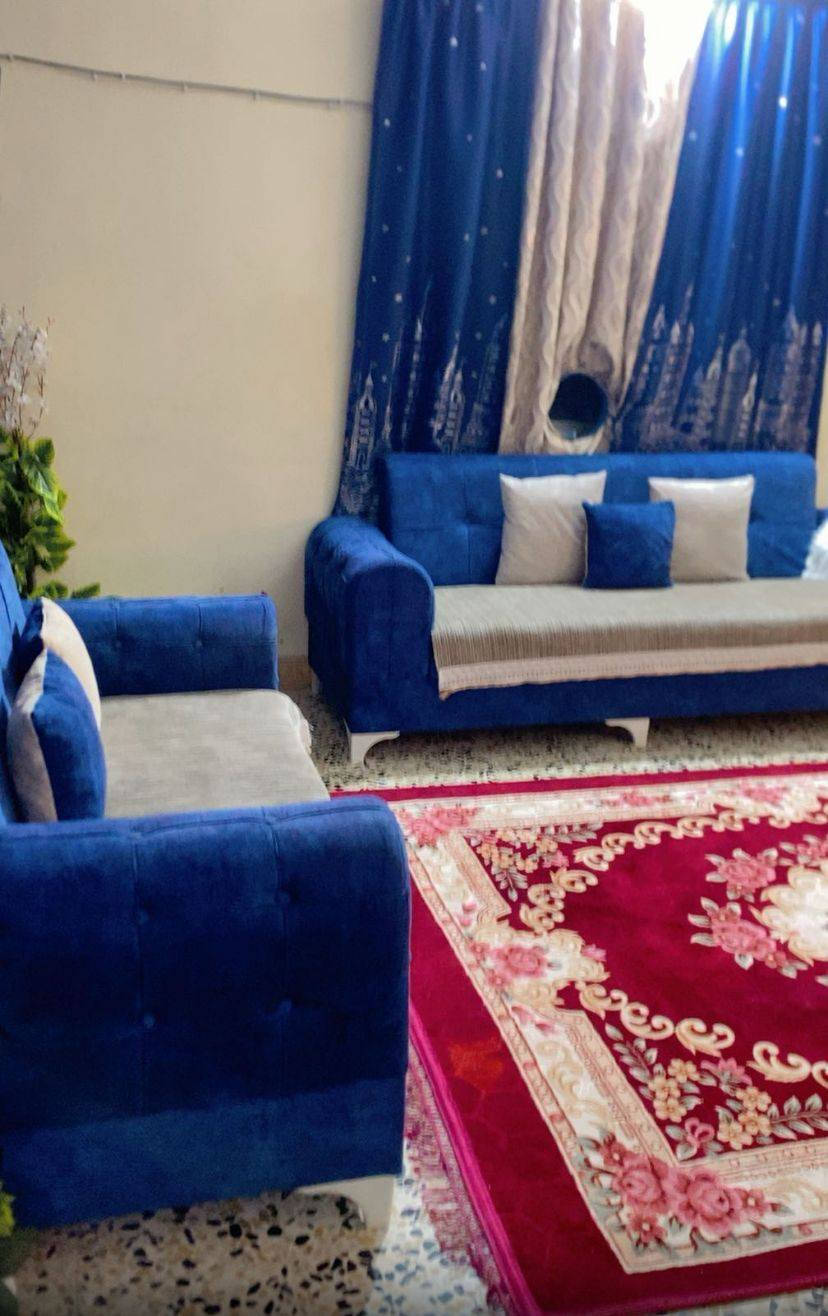 تخم قنفات مع الطبلات 
السعر : 300 ألف 
المكان كركوك حي الخضراء 
رقم الهاتف : ***********
