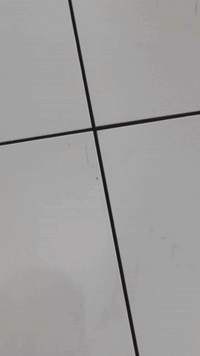 متواجد خلفة انطيك شغل استلام هندسي تواصل *********** شغل داخل وخارج بغداد
